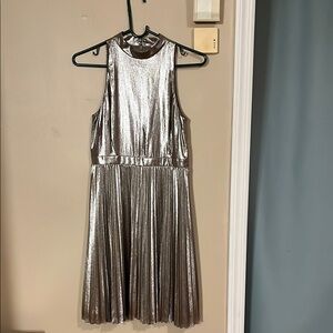 Ann Taylor Silver Metallic Dress